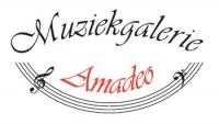Muziekgalerie Amadeo..JPG