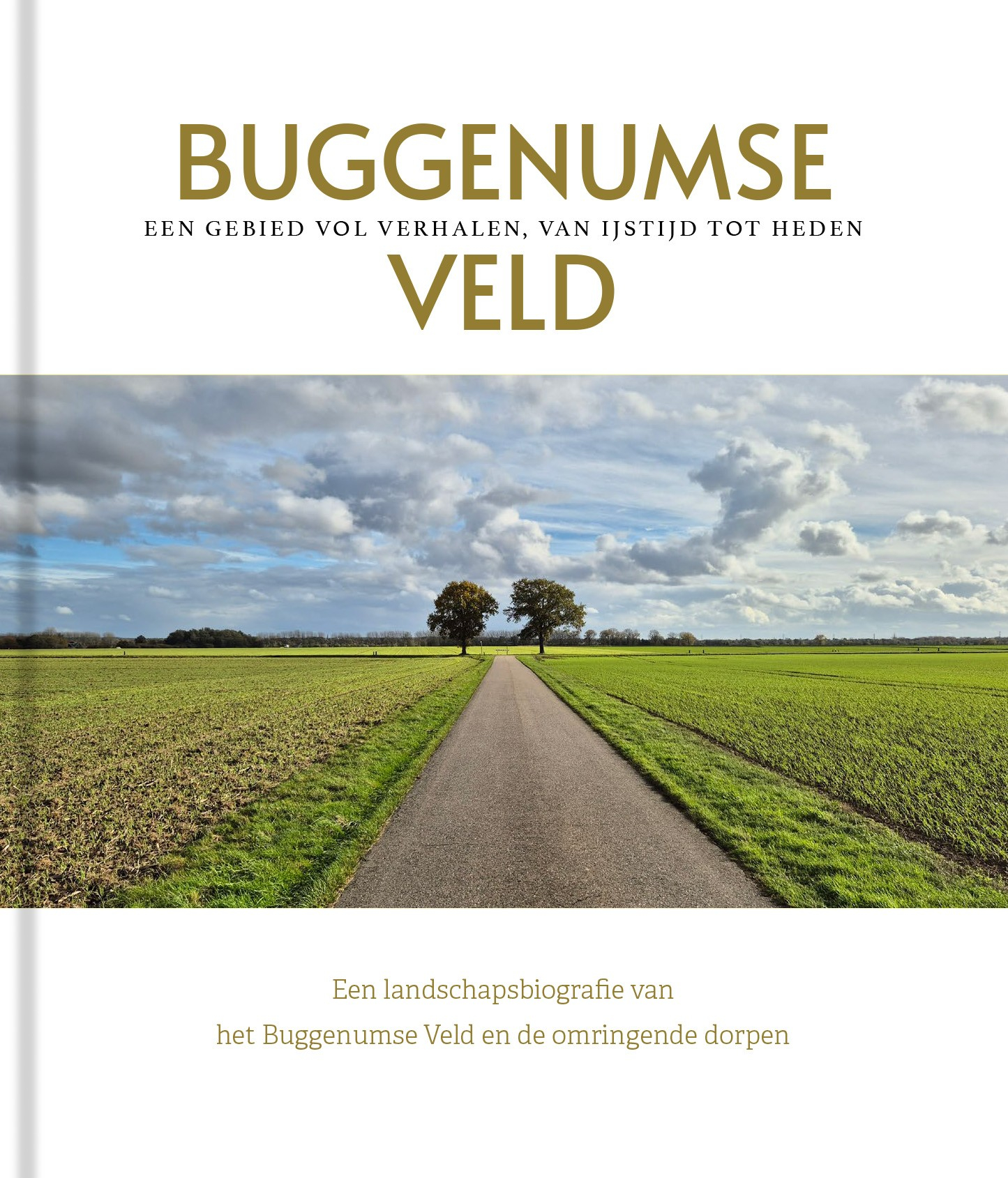 buggenumse veld.jpg
