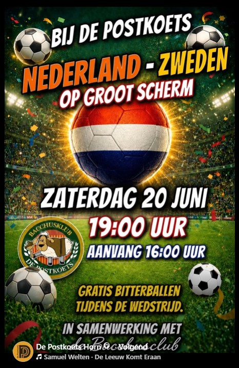 ned-zwe.jpg
